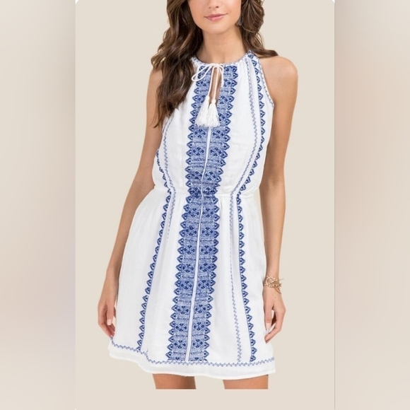 Embroidered Tassel Tie A-Line Dress - Picture 1 of 10